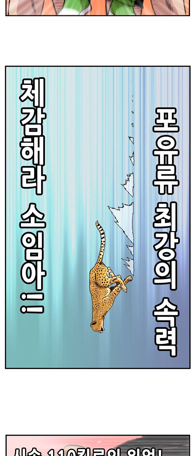 만물의 영장 1화 - 영장 돌아오다 36