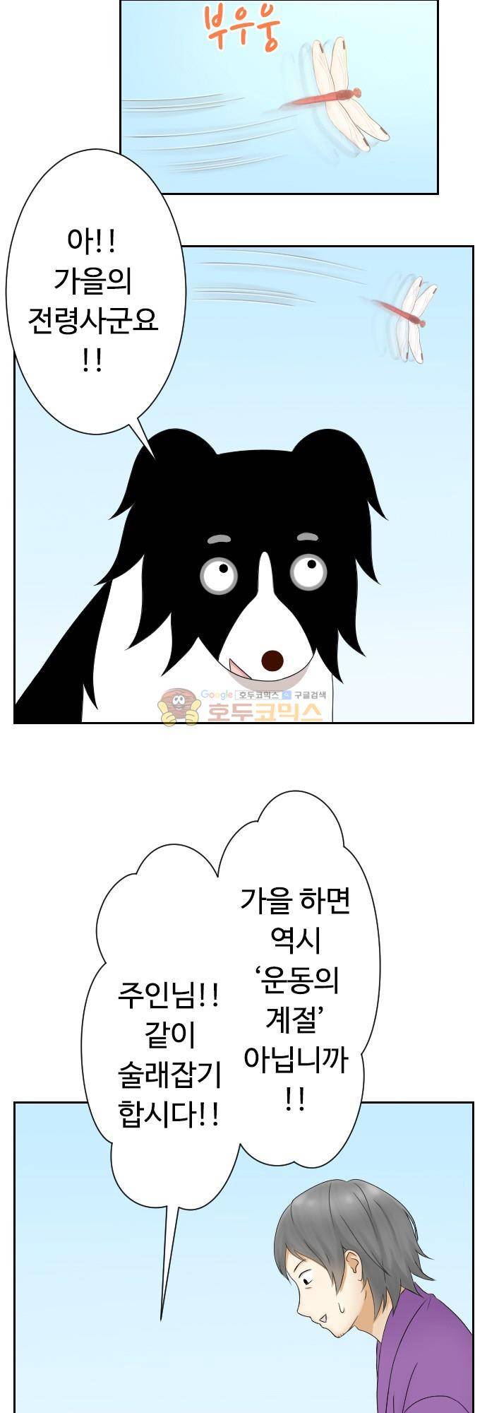 화이트 포메 151화 - 가을은 예술의 계절 2