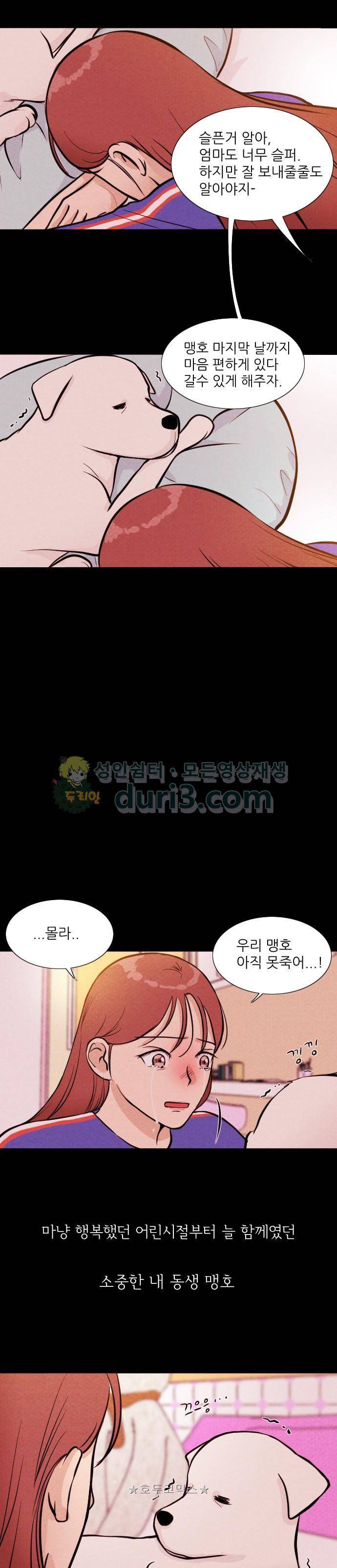 자판귀 11화 - 맹호(1) 3