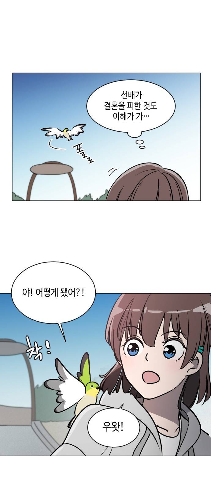참새는 새!신부 36화 28