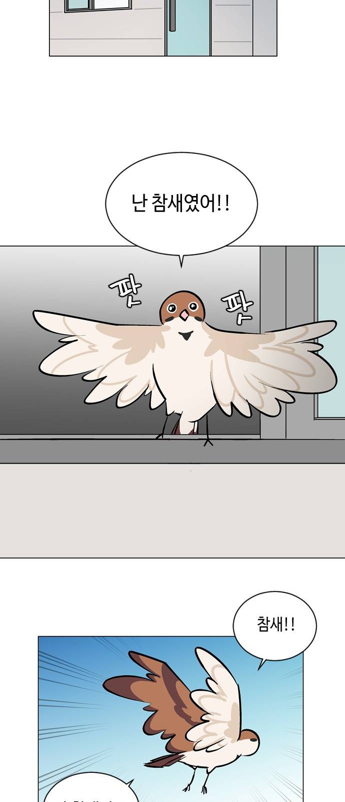 참새는 새!신부 36화 35