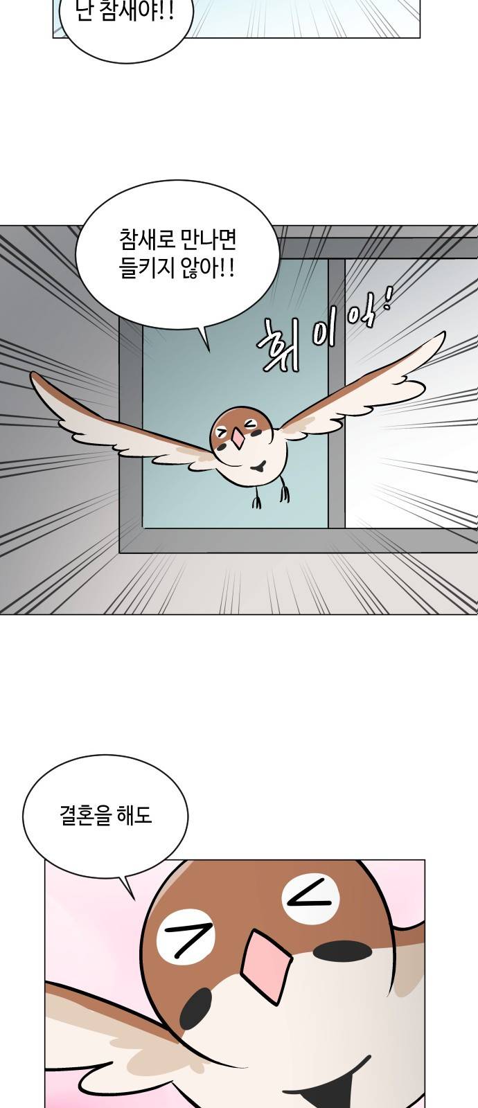 참새는 새!신부 36화 36