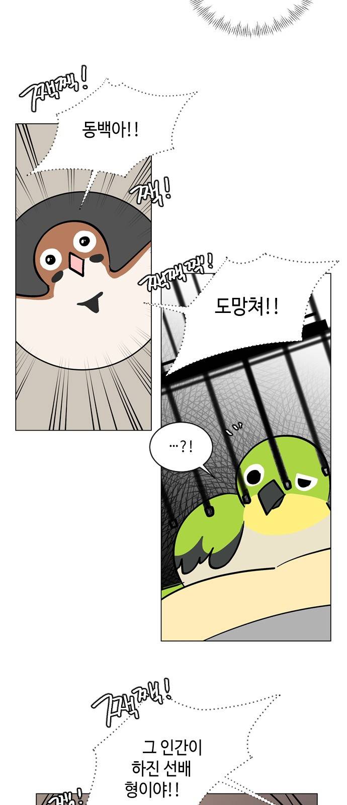 참새는 새!신부 56화 6