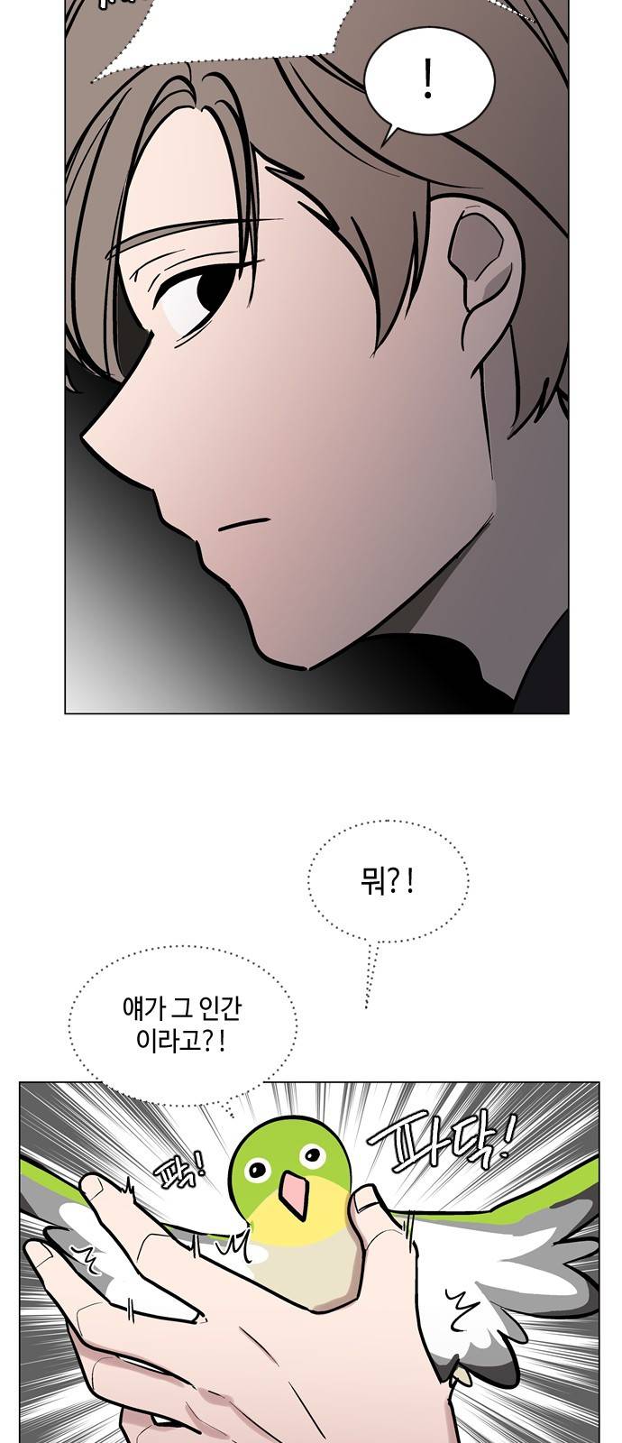 참새는 새!신부 56화 7