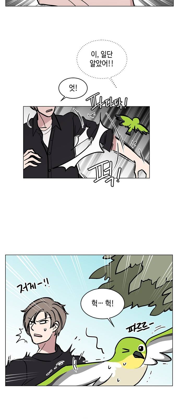 참새는 새!신부 56화 8