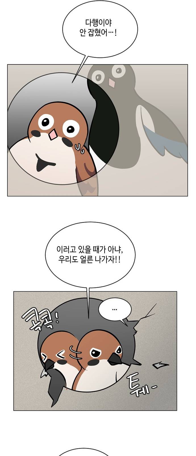 참새는 새!신부 56화 9