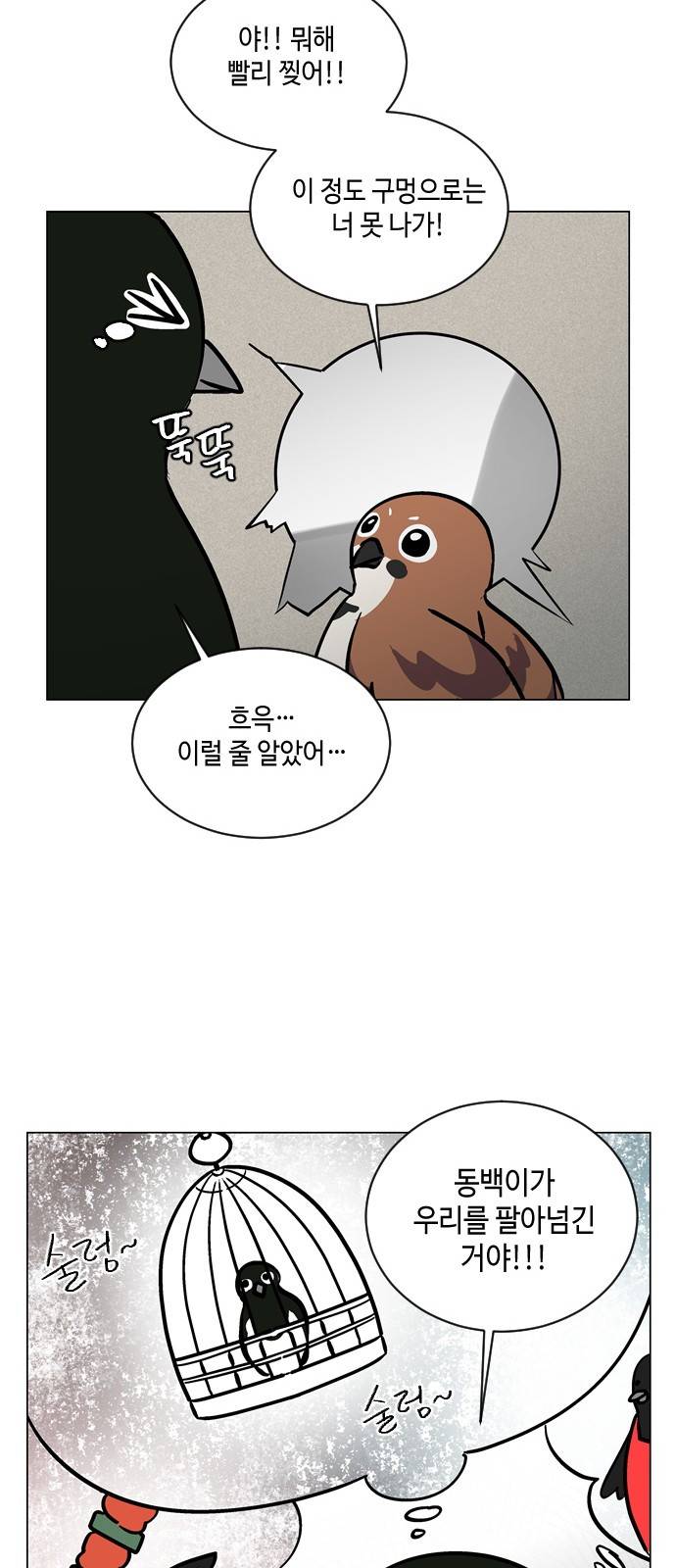 참새는 새!신부 56화 10
