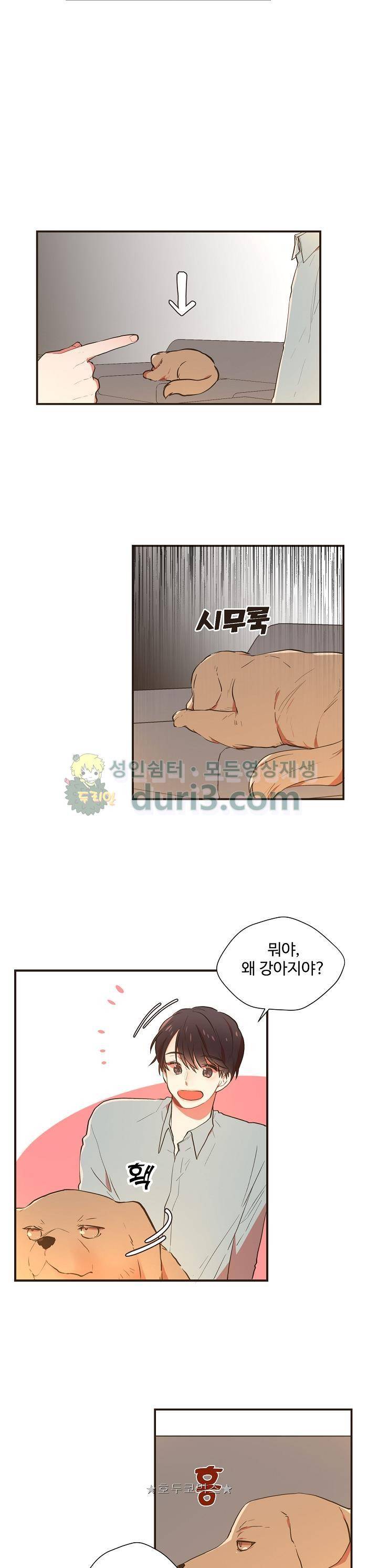 멍멍냥냥 52화 13