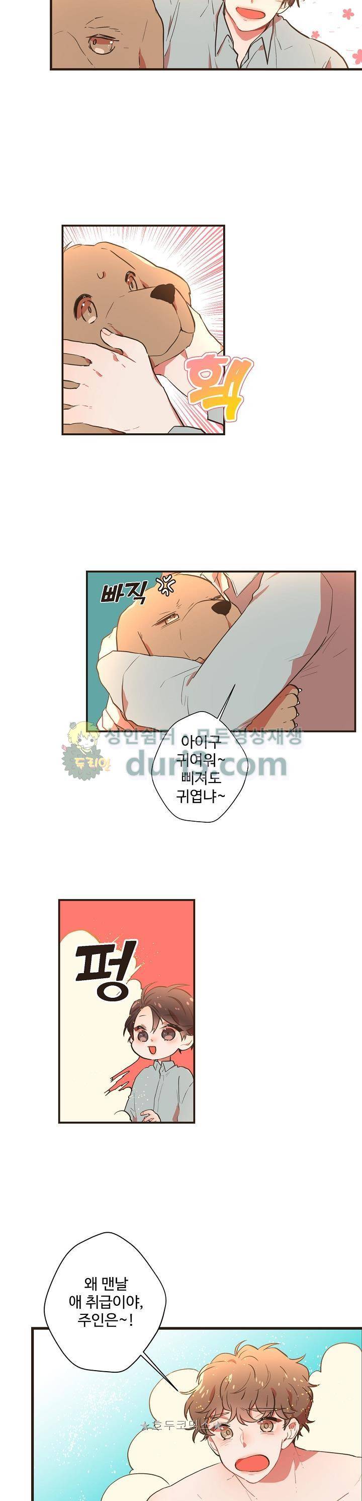 멍멍냥냥 52화 15