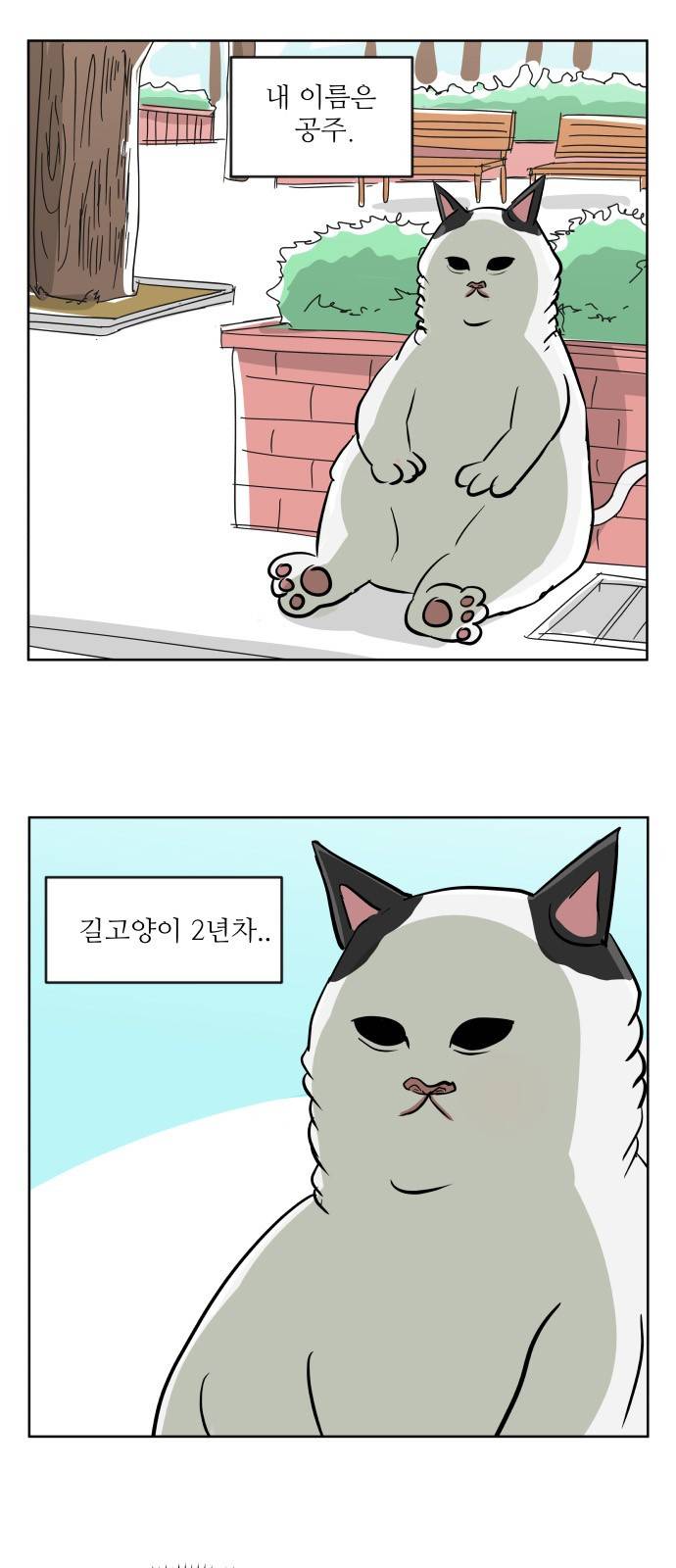 냥하무인 - [프롤로그] 2