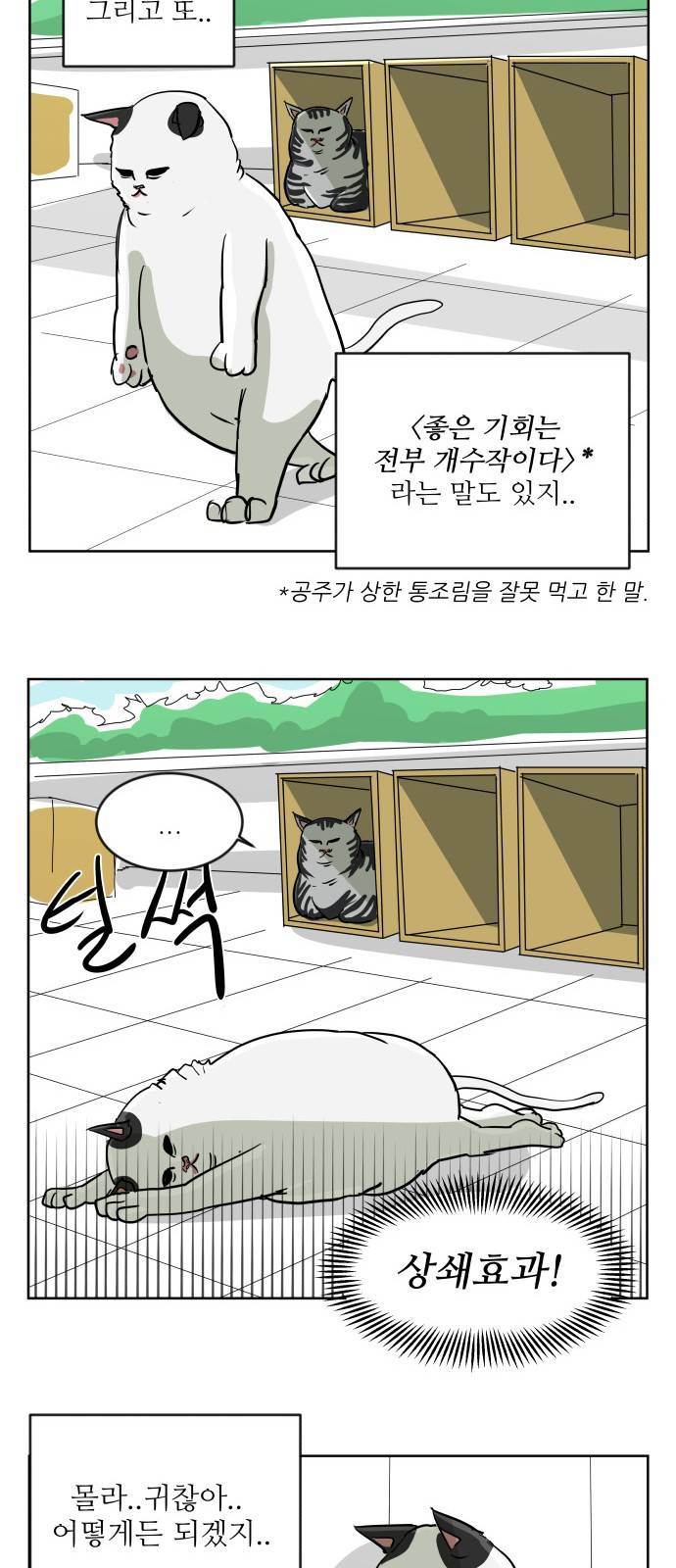 냥하무인 - [프롤로그] 30