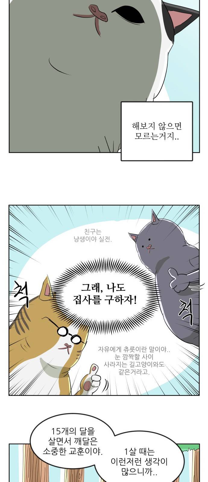 냥하무인 - [프롤로그] 35