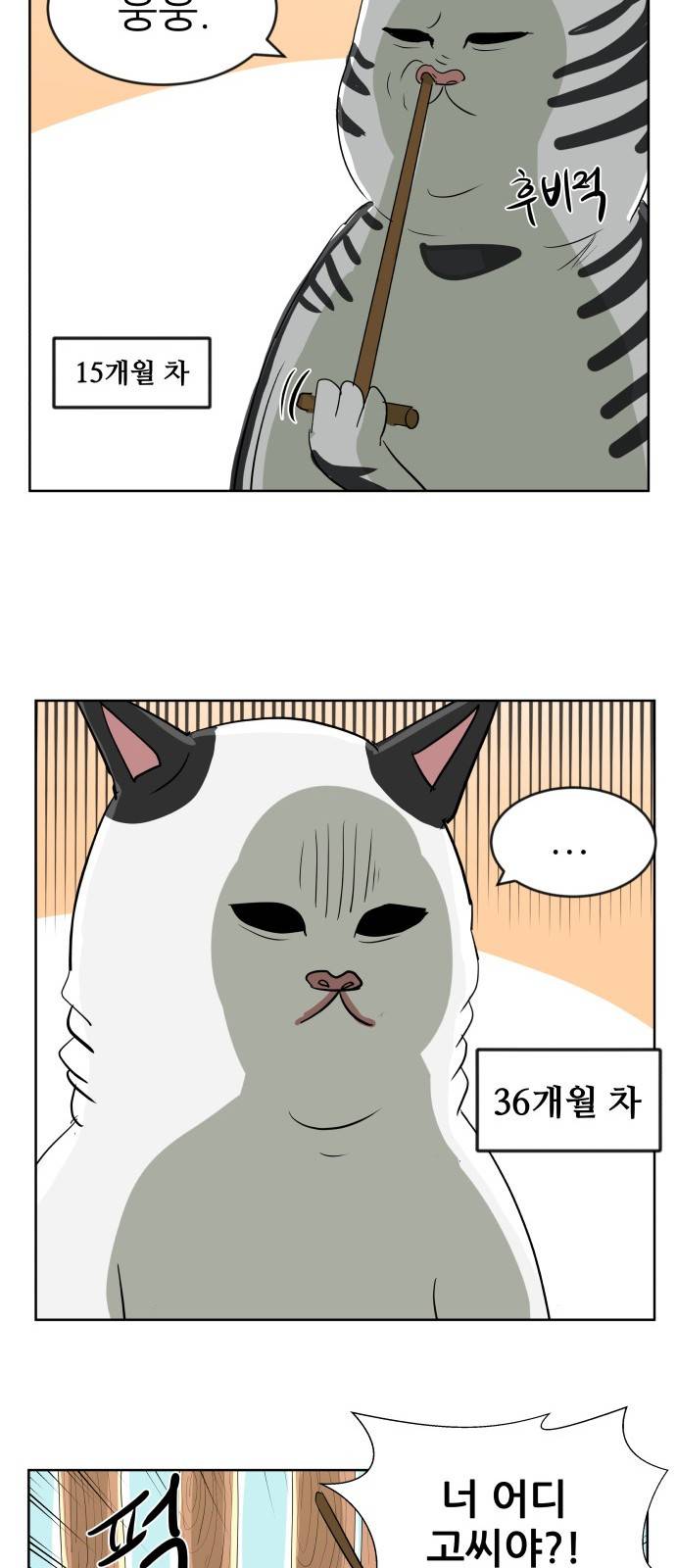냥하무인 - [프롤로그] 37