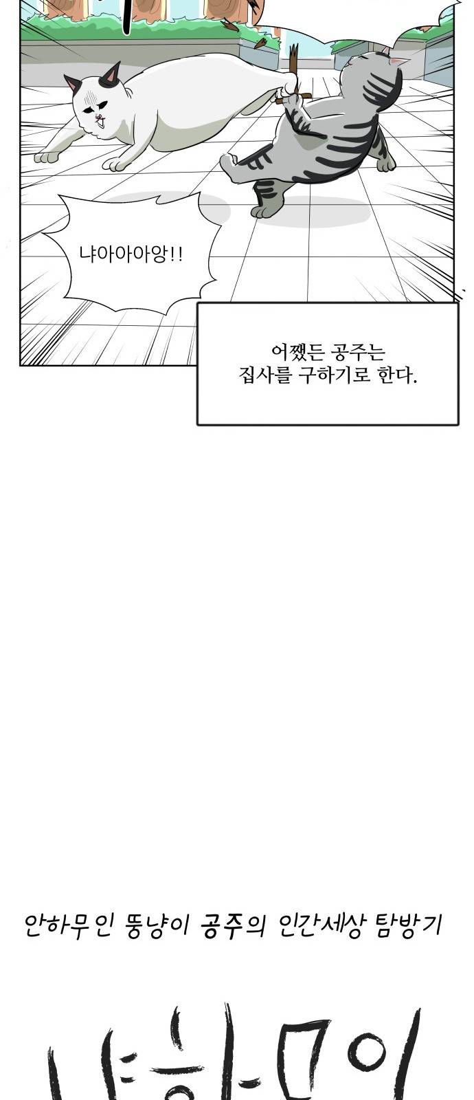 냥하무인 - [프롤로그] 38