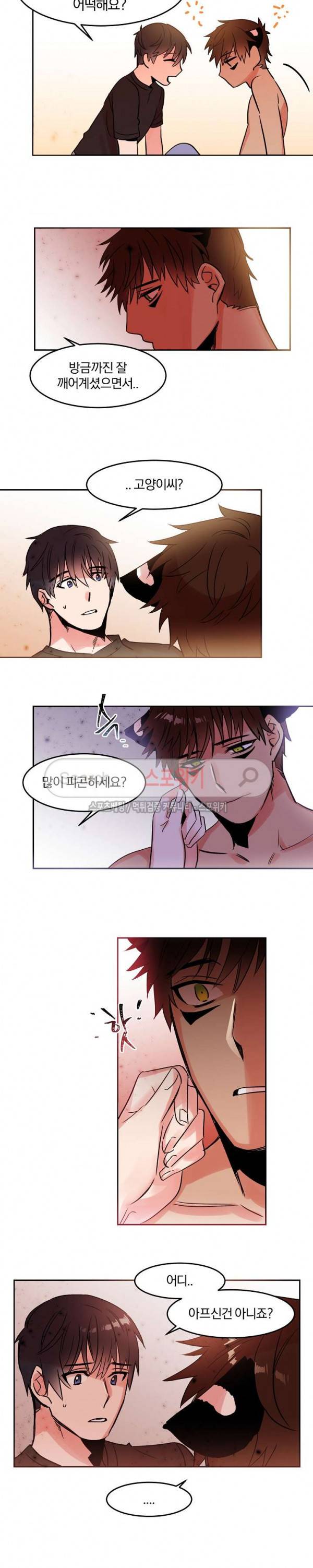 골판지 상자 안 고양이씨 25화 5