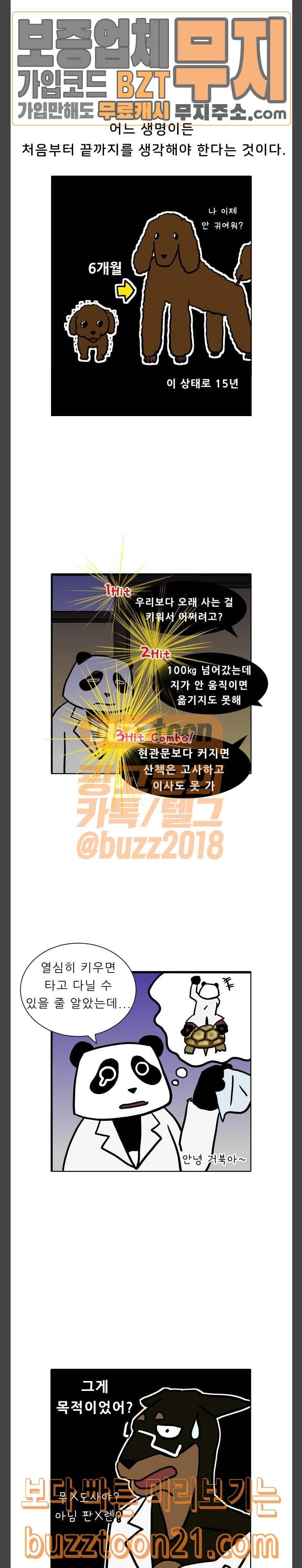 닥터앤닥터 육아일기 17 생일 축하해 10