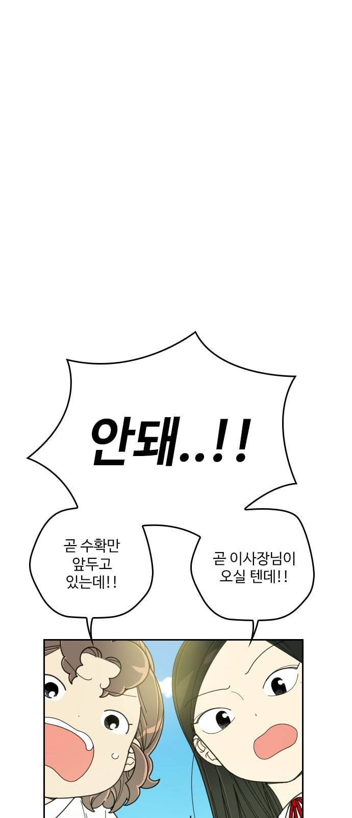 텃밭부 사건일지 6화 핏방울 같은 토마토가 뚝뚝 1 14