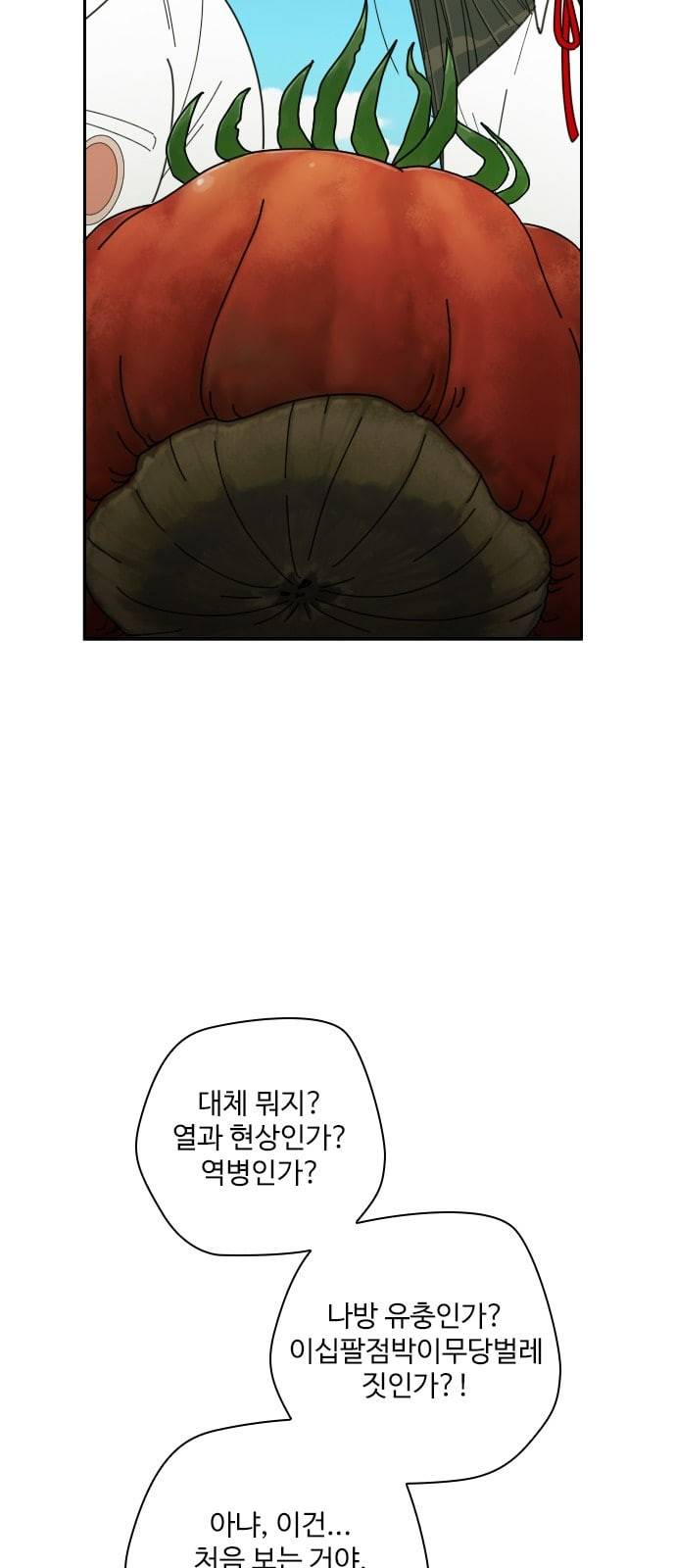 텃밭부 사건일지 6화 핏방울 같은 토마토가 뚝뚝 1 15