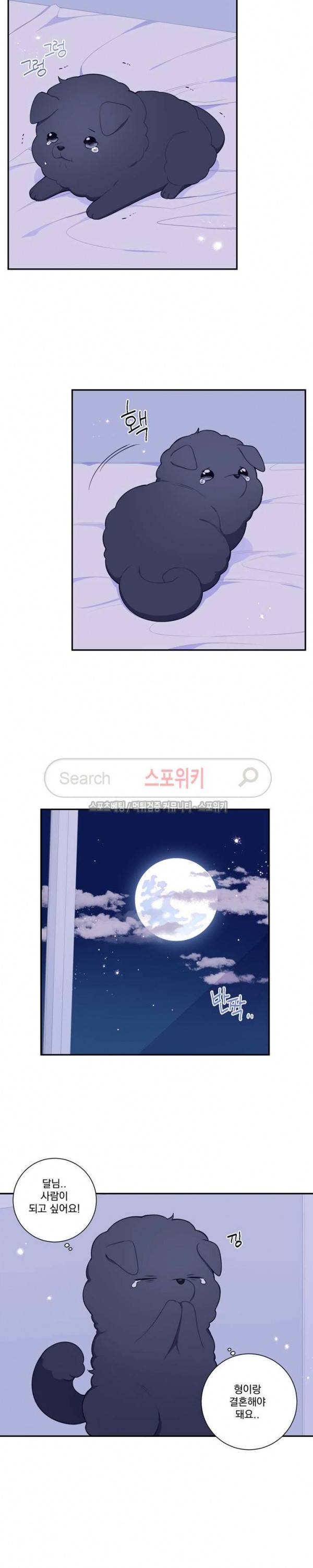 겨울 지나 벚꽃 시즌3 29화 특별외전 1화 14
