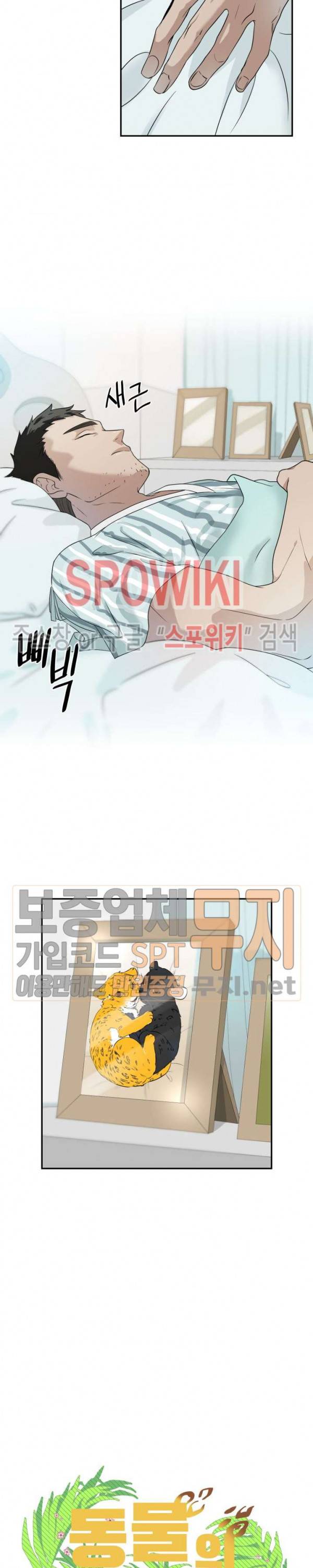 동물의 왕국 시즌2 23화 2