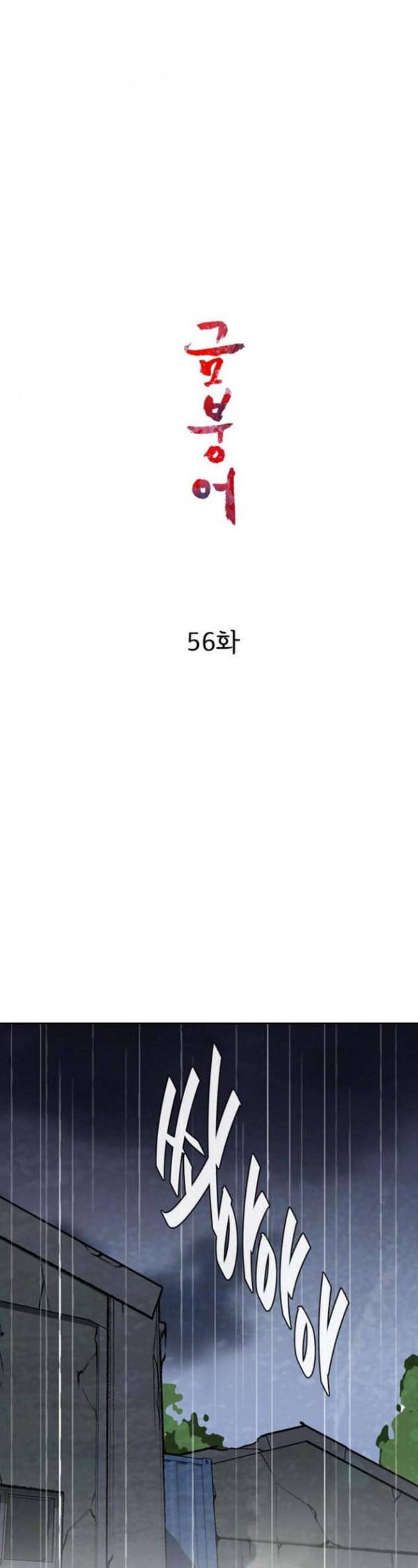 금붕어 56화 13
