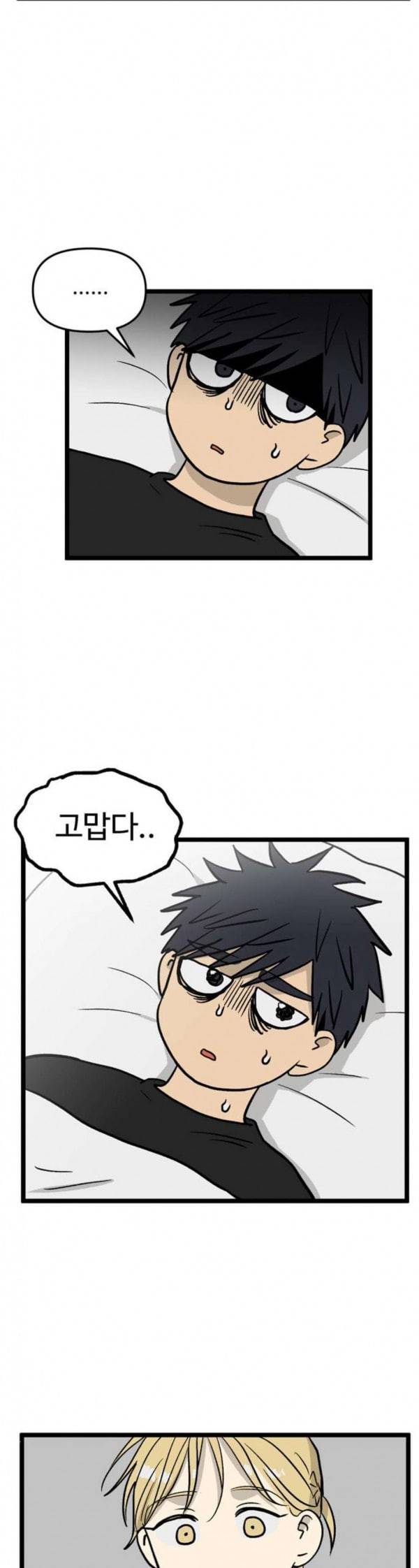 집이 없어 60화 감기 3 5