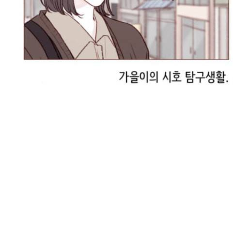 홍시는 날 좋아해 109화 데이트 상대로 나온 거니까 17