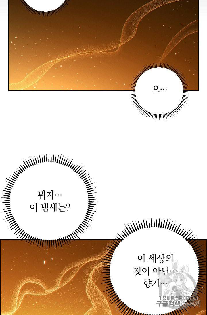 던전 리셋 30화 63