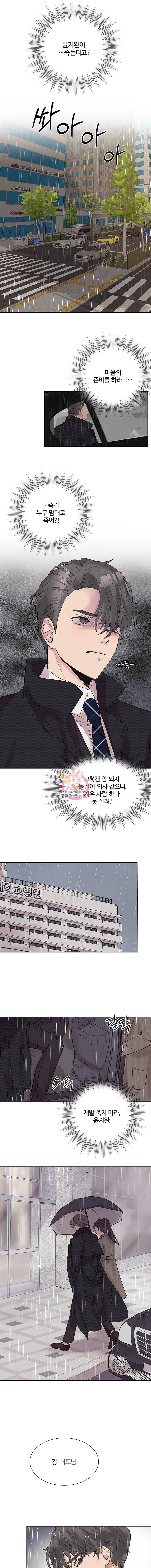 봄날의 팔광 1화 20
