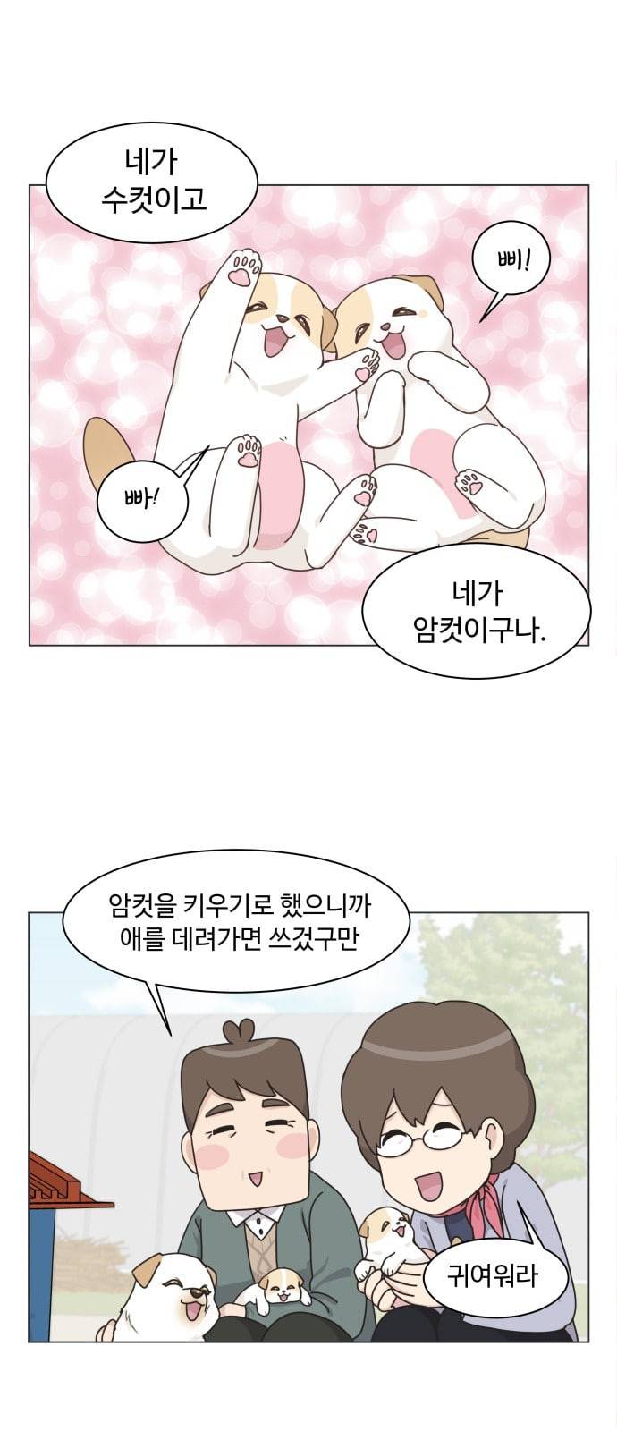 개를 낳았다 시즌2 2화 1