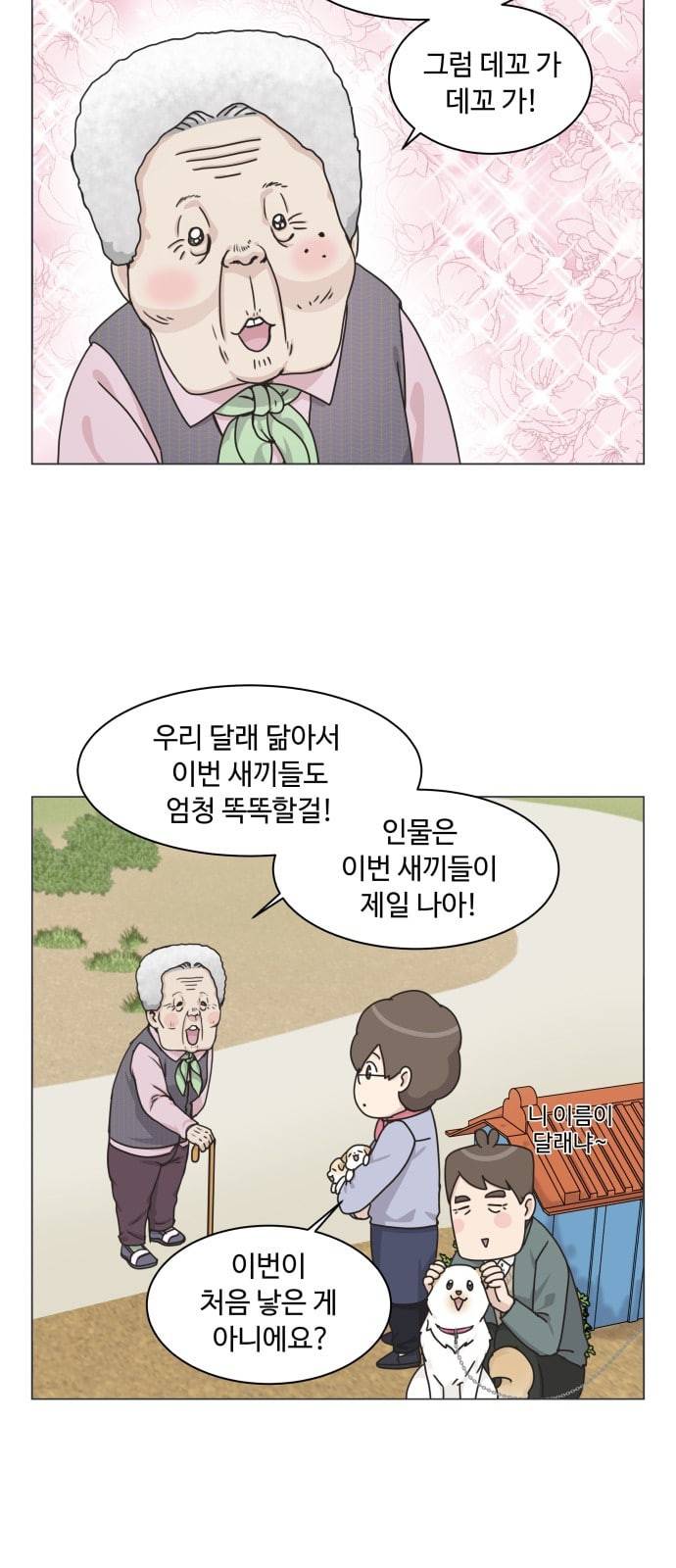 개를 낳았다 시즌2 2화 5
