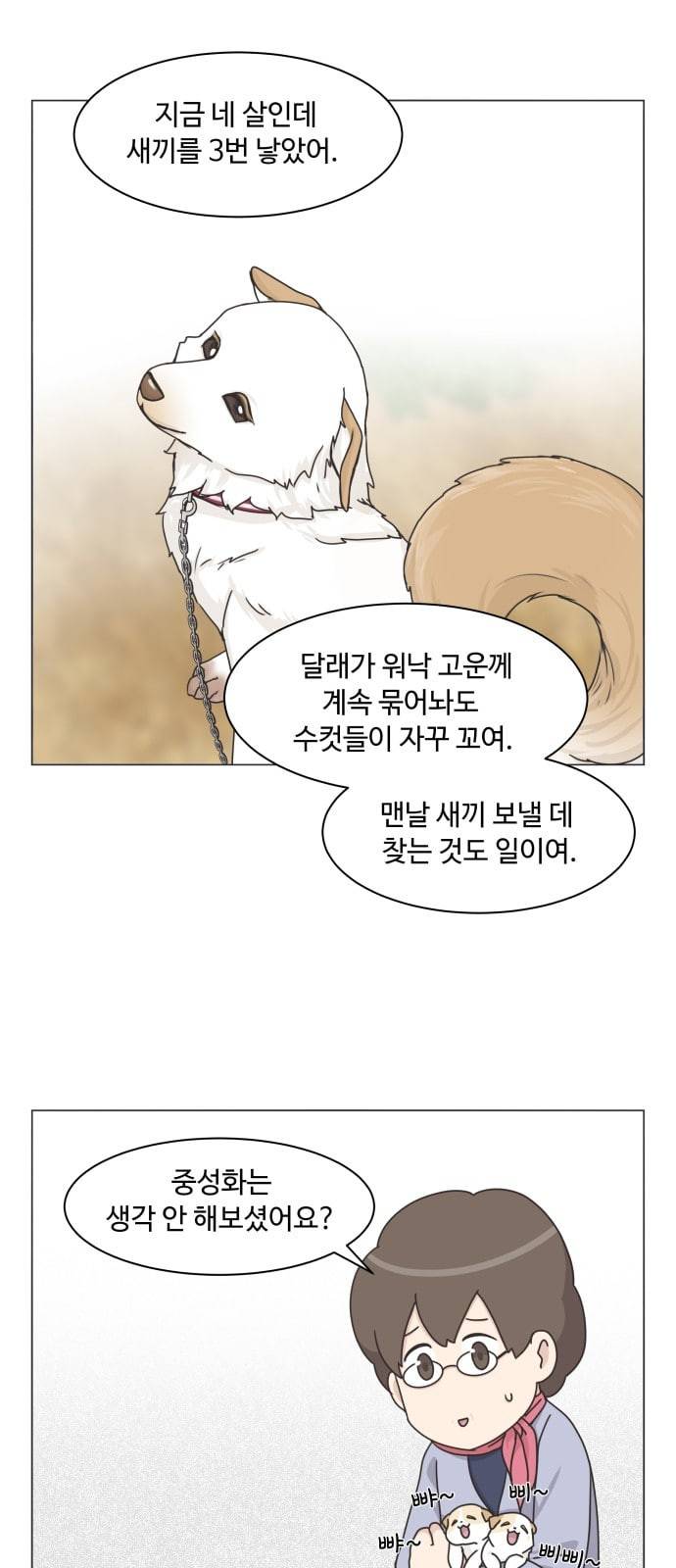 개를 낳았다 시즌2 2화 6