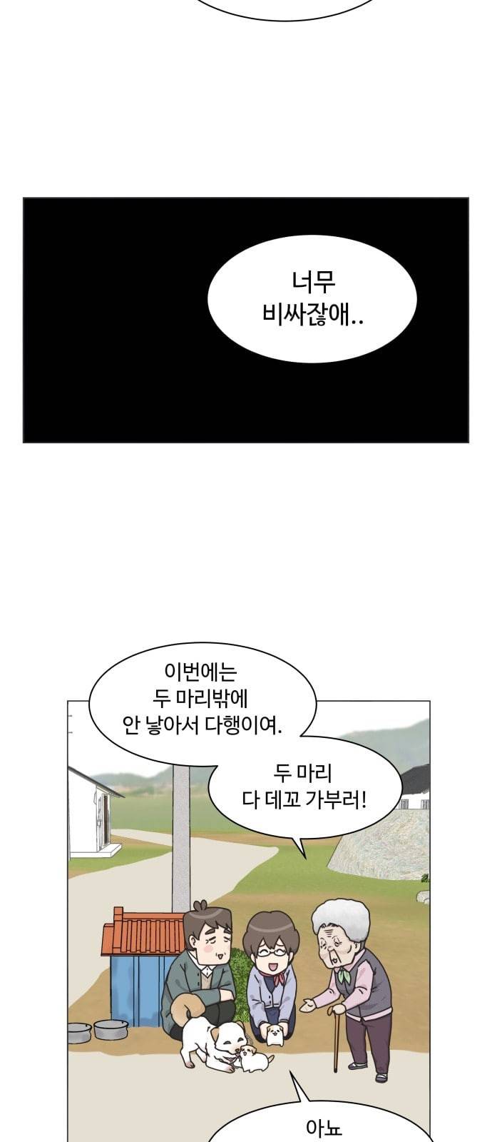 개를 낳았다 시즌2 2화 8