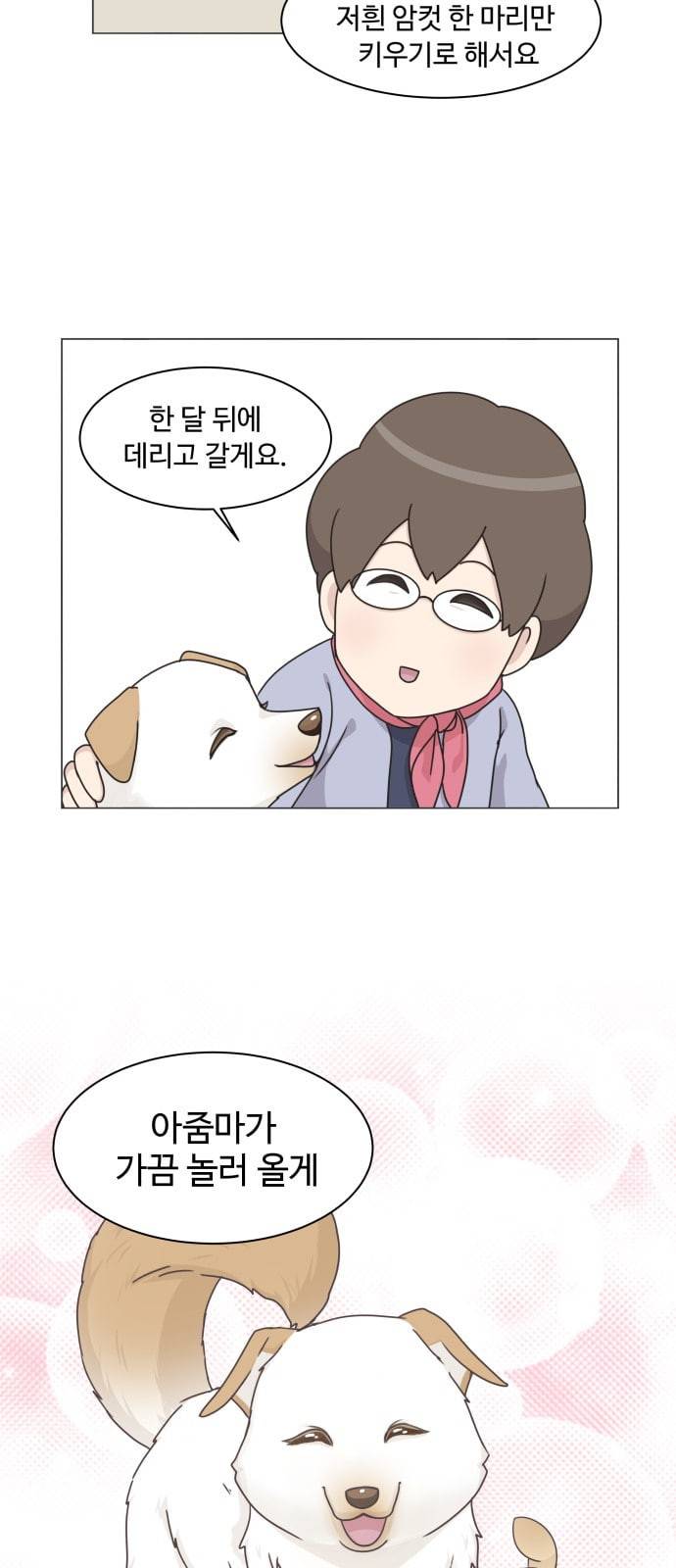 개를 낳았다 시즌2 2화 9