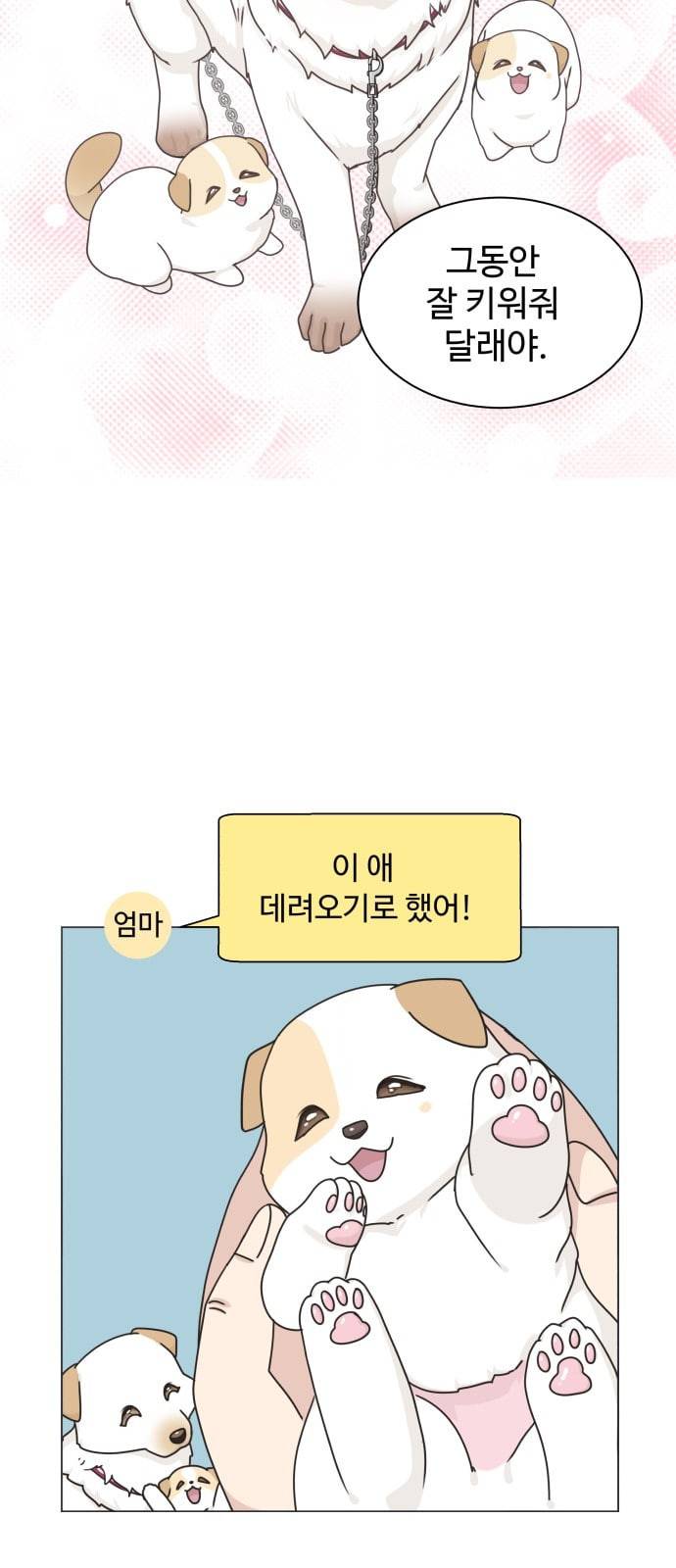 개를 낳았다 시즌2 2화 10