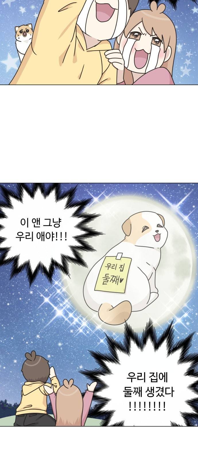 개를 낳았다 시즌2 2화 13
