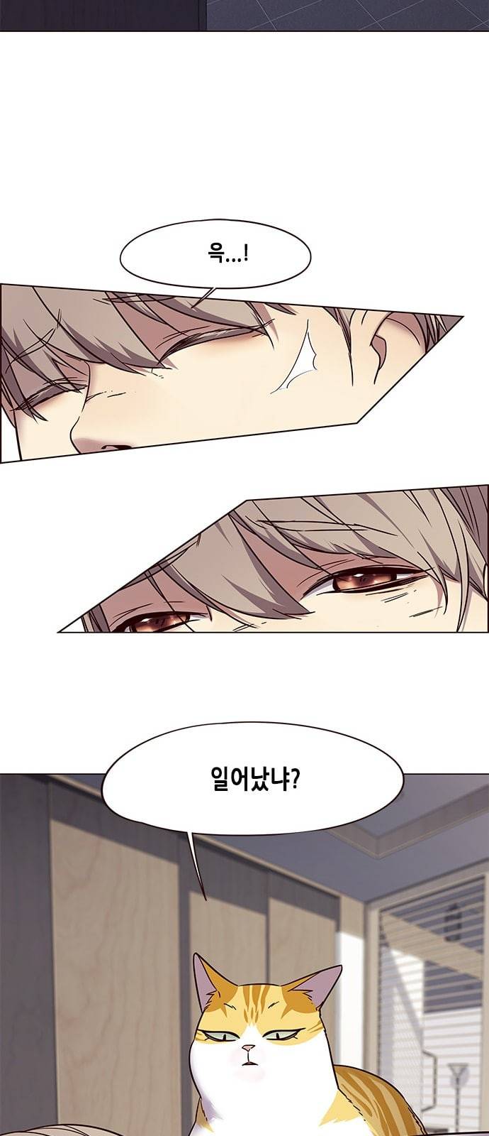 일렉시드 88화 10