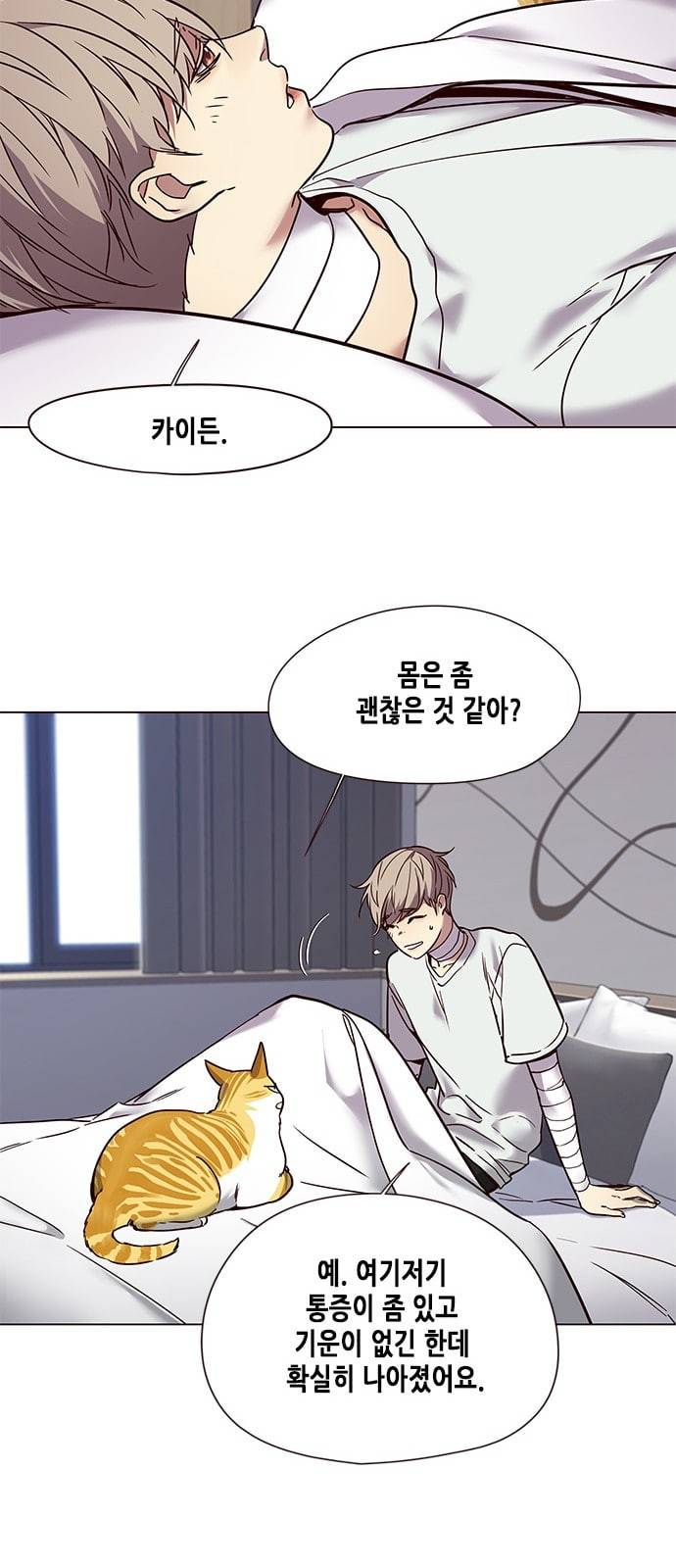 일렉시드 88화 11