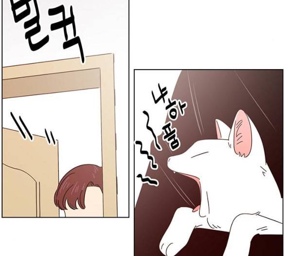 청춘 블라썸 8화 57