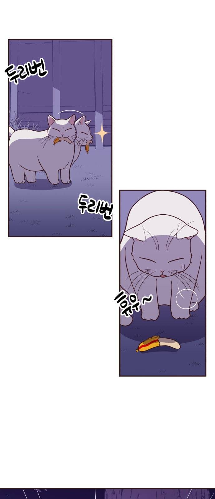 와이키키 뱀파이어 9화 3