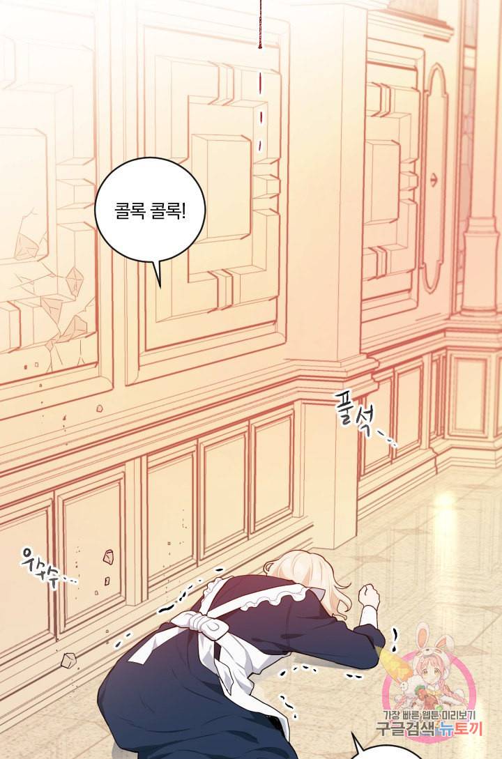 TL 소설 속 시녀가 되었습니다 27화 66