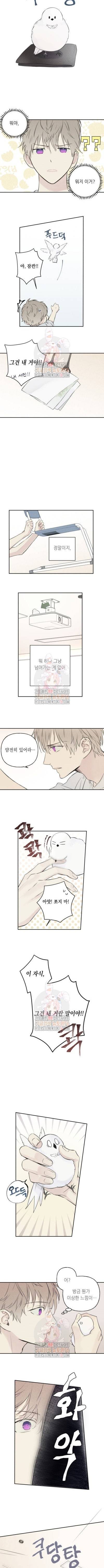 엔젤 버디 2화 3