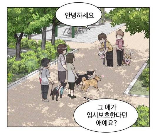 개를 낳았다 시즌2 28화 8