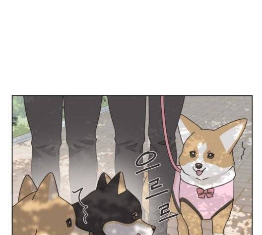 개를 낳았다 시즌2 28화 9