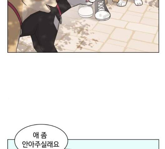 개를 낳았다 시즌2 28화 10