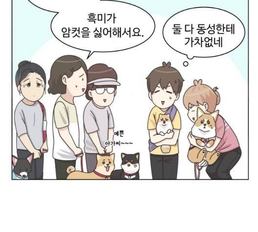 개를 낳았다 시즌2 28화 11