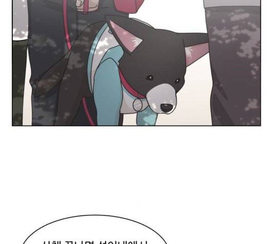 개를 낳았다 시즌2 28화 13