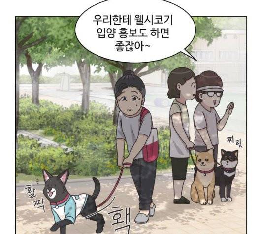 개를 낳았다 시즌2 28화 17