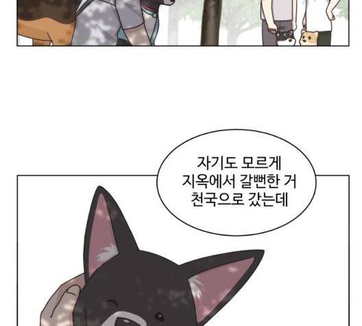 개를 낳았다 시즌2 28화 22