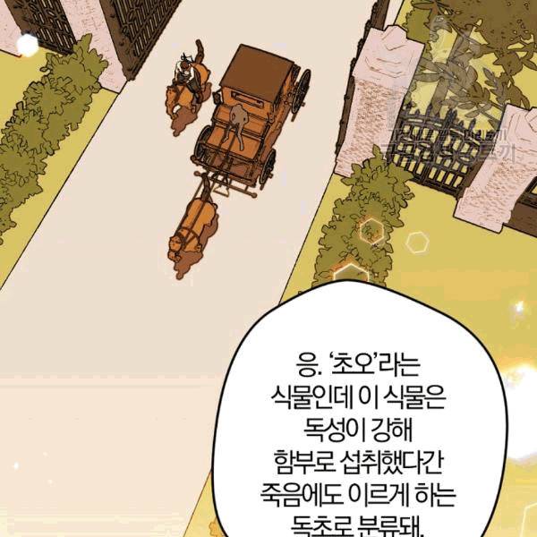 망할 가문을 살려보겠습니다 40화 2